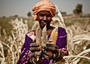 World Bank Warns of Food Shortages